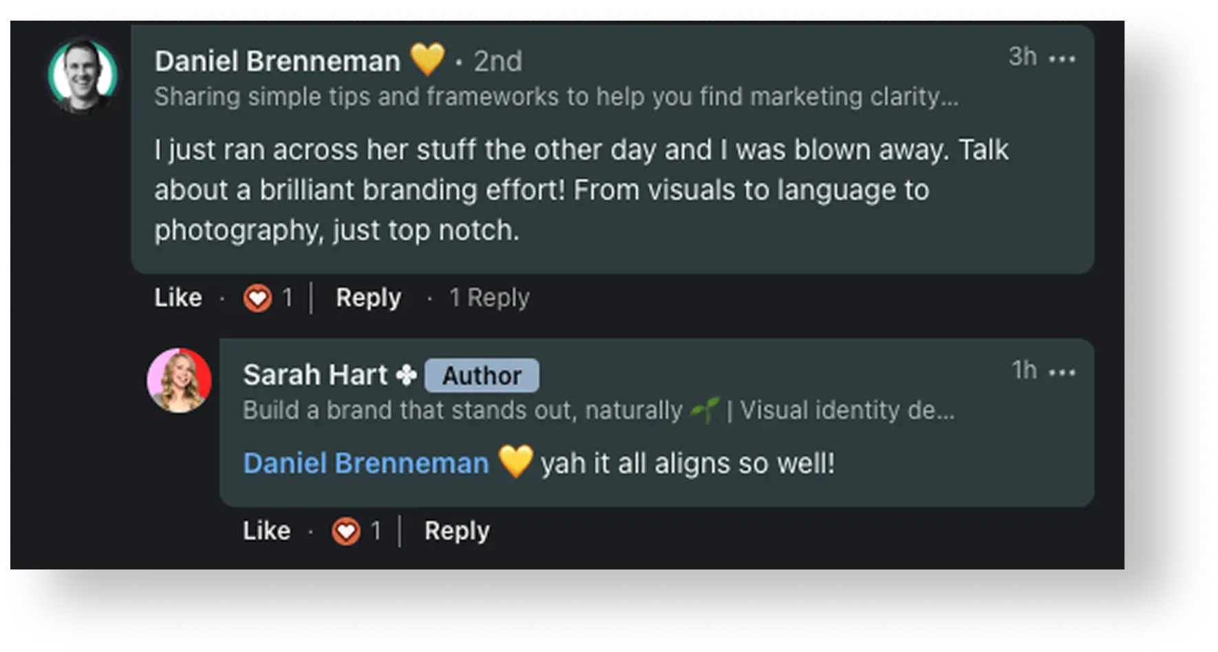 LinkedIn testimonial praising the Ghetto Country Brandmother rebrand, screenshot 6 of 12