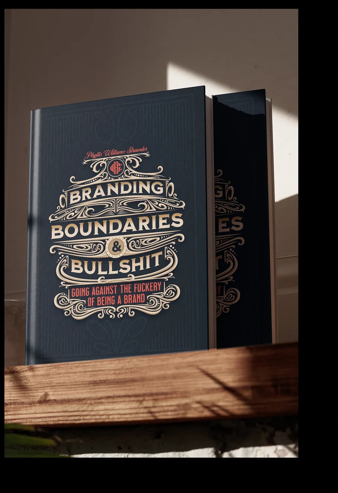 Ghetto Country Brandmother: Book Mockup 2