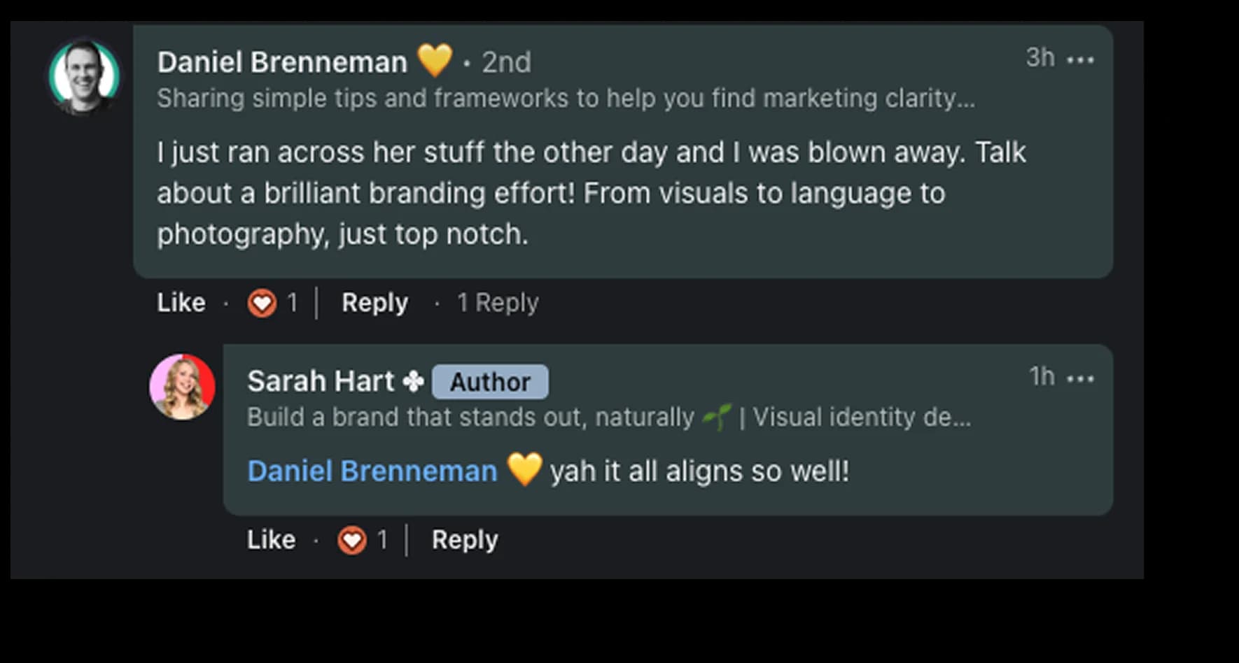 LinkedIn testimonial praising the Ghetto Country Brandmother rebrand, screenshot 6 of 12